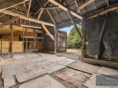 Picture 29